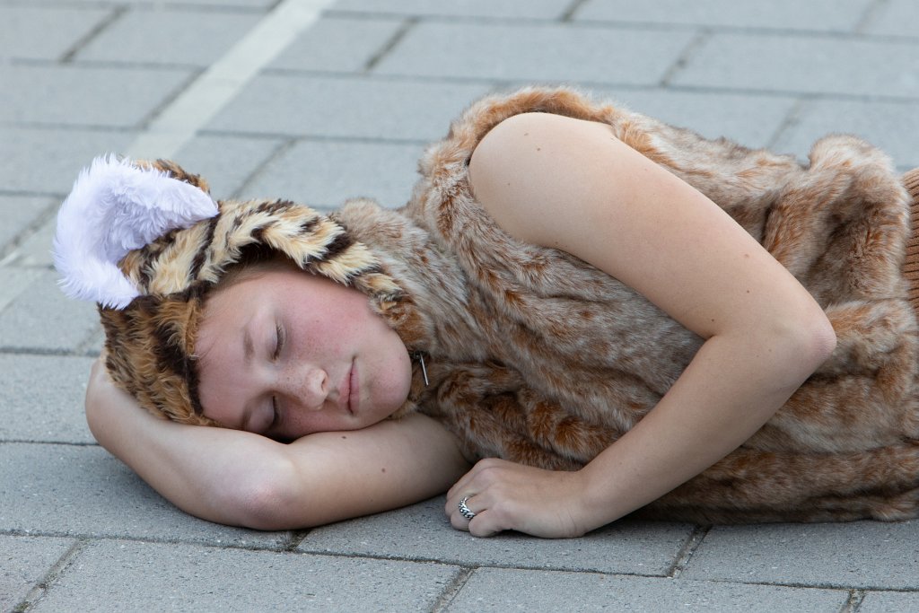 Schoolplein Festival A098.jpg
